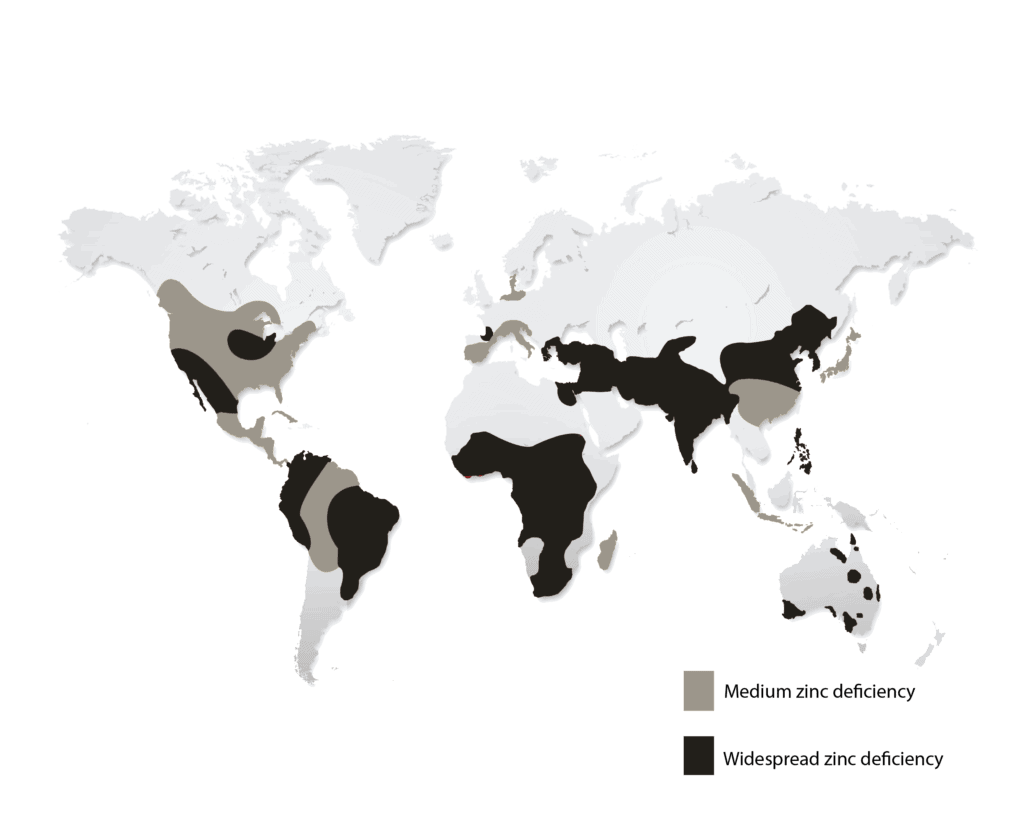 Zinc (UPDATE Jul 2018) 9 Things You Need to Know
