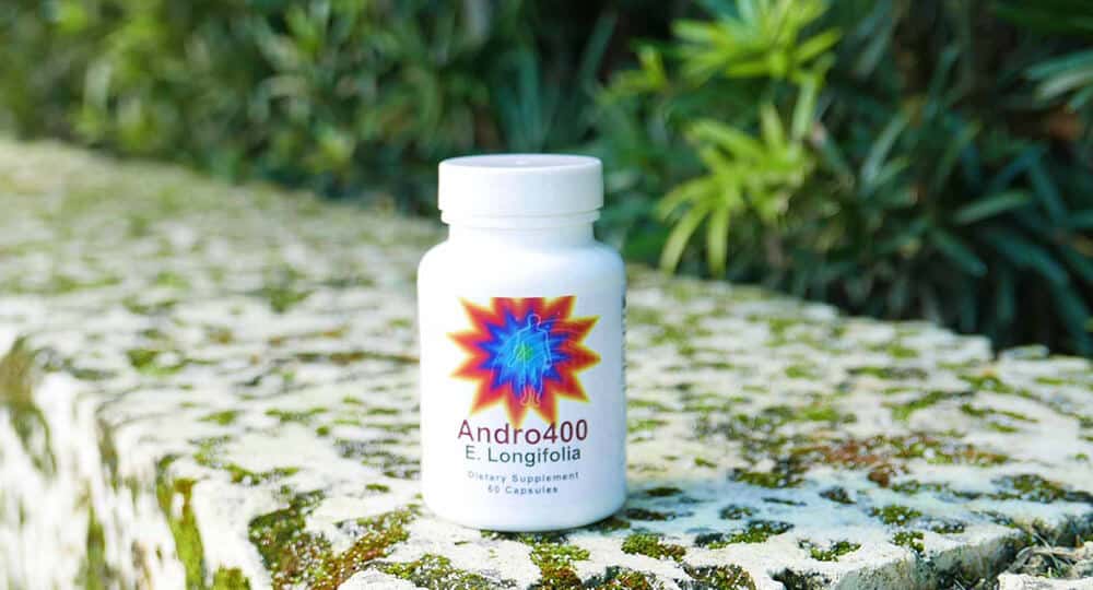 Andro400 Max Review Update 2019 16 Things You Need To Know Andro400 Max Review Update 2019 16 Things You Need To Know