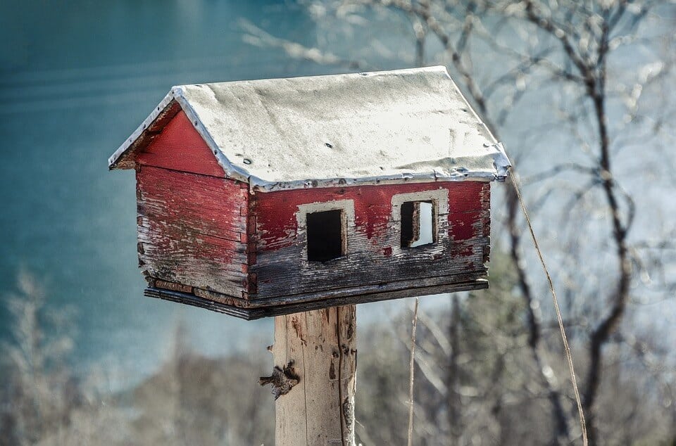 bird watching bird houses