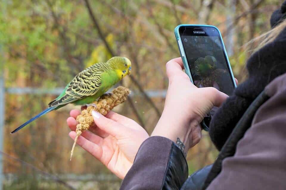 birdwatching equipment