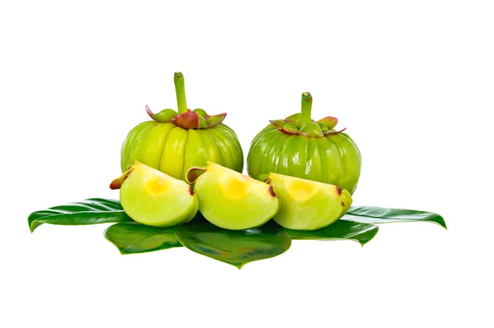 garcinia cambogia category