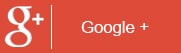 google + button