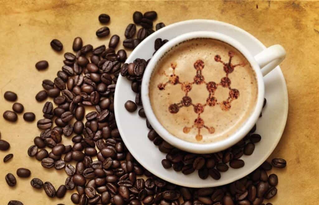 Javita Weight Loss Coffee Review Update 2021 8 Things You Need To Know