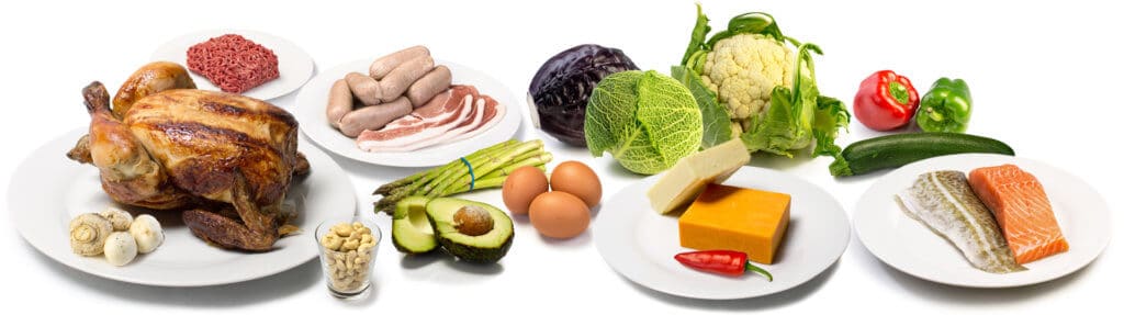 Low Carb Diet Alternatives