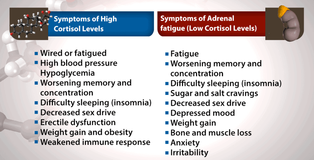 symptoms of too much epinephrine symptoms of too much epinephrine
