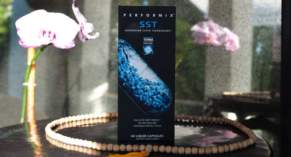 Performix SST Ingredients