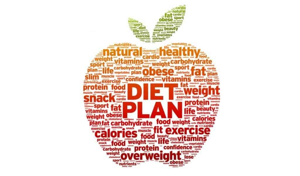 popular diet plans