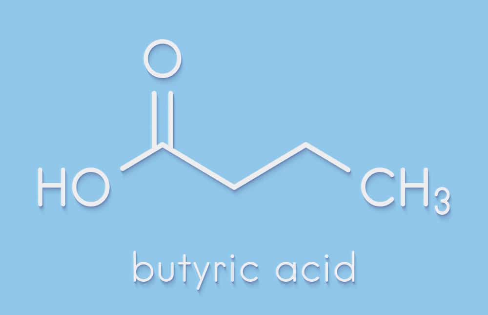 postbiotic short chain fatty acids