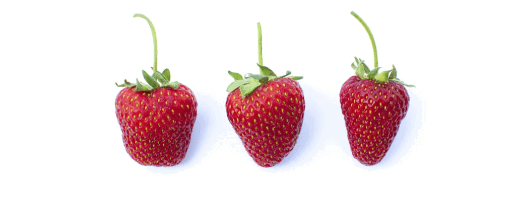 How much weight can you lose on 60 day juice fast image 10