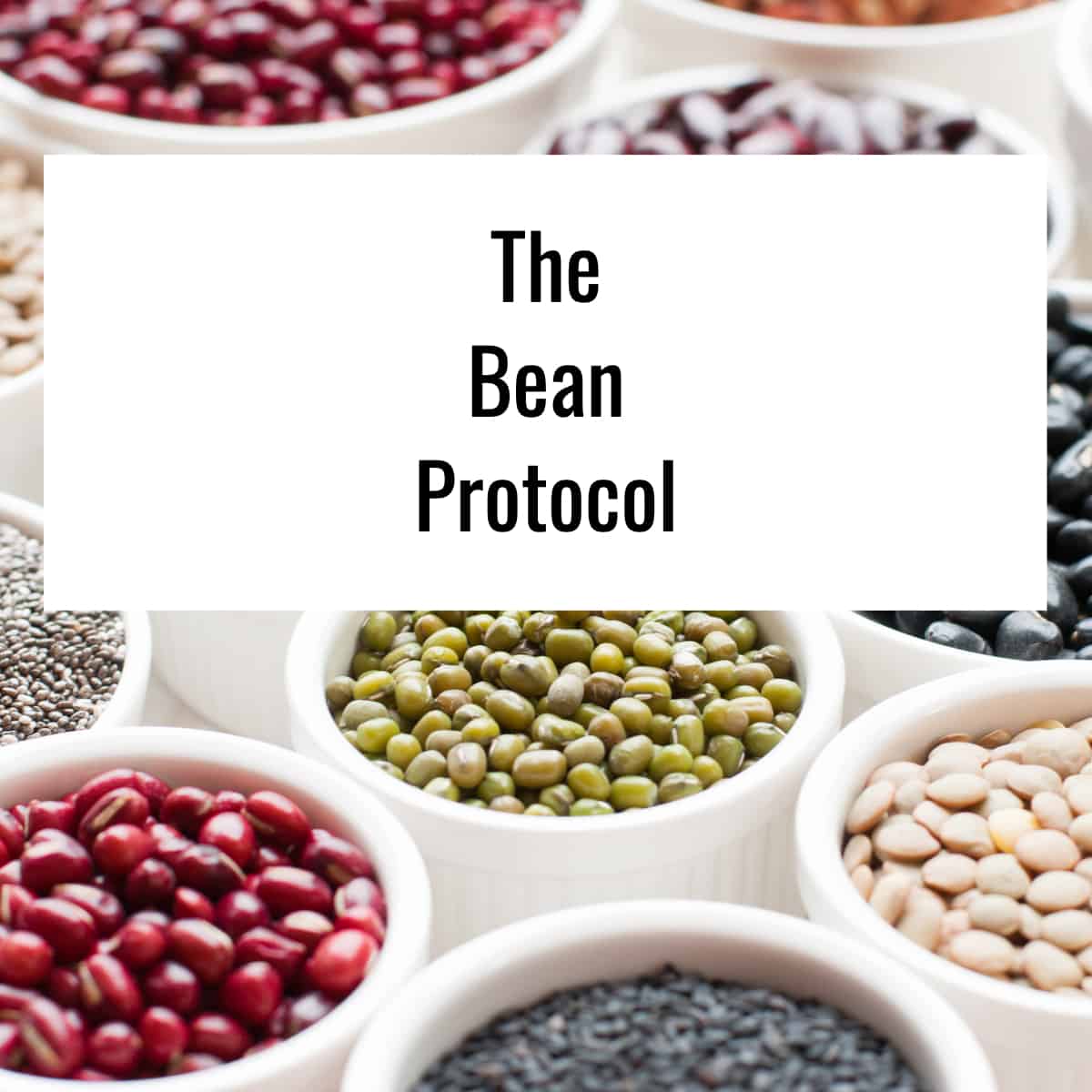 The Bean Protocol Review (UPDATE 2023) 13 Things You Need to Know